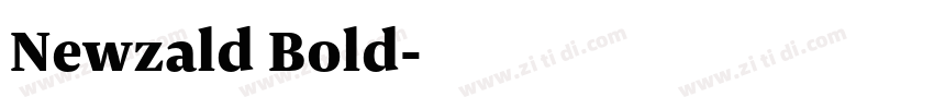 Newzald Bold字体转换